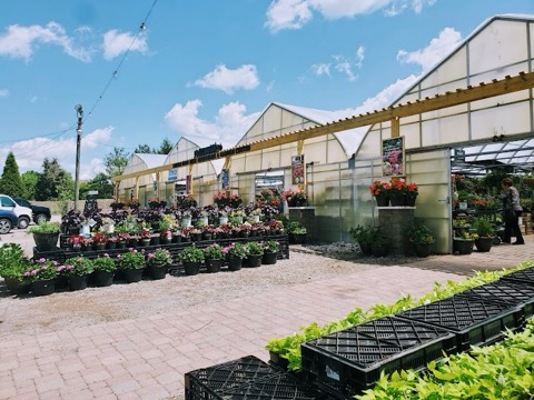 Greenhouse & Garden Center in West Chester Ohio